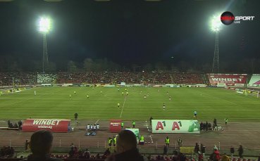 Фенка на ЦСКА нахлу на терена преди началото на второто