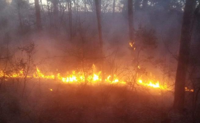 32 пожара в Кюстендилско за два дни, три са нанесли щети