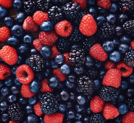 Черният дроб е централна фигура в тялото за пречистване на