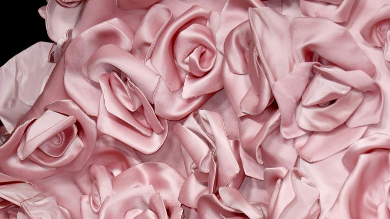  Зендая с шлейф от рози на Наградите на актьорската колегия 