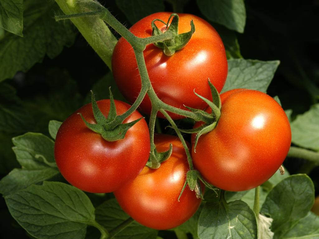 Цените на зеленчуците родно производство традиционно се повишиха през зимния