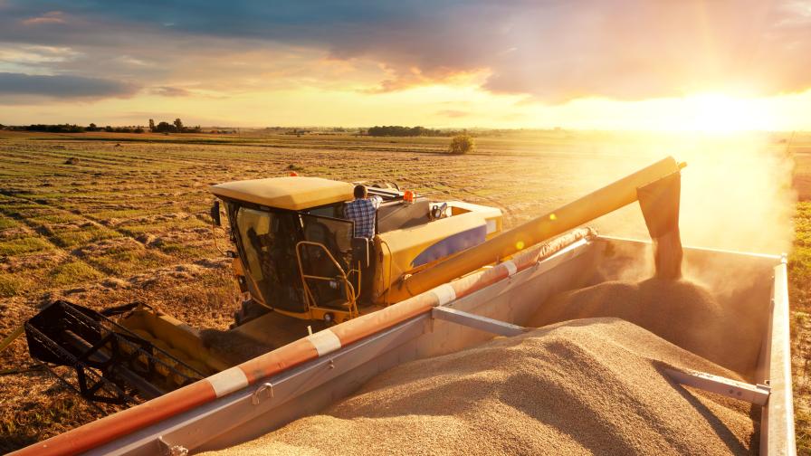 Полша, Унгария и Словакия наложиха едностранно забрана на вноса на украинско зърно