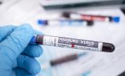 Танзания обяви огнище на смъртоносния вирус Марбург, СЗО с препоръки