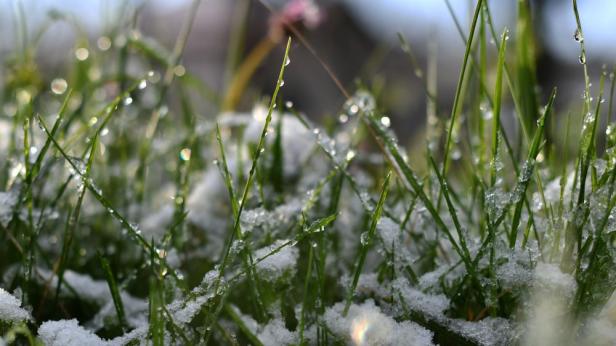 Усещане за пролет в края на февруари