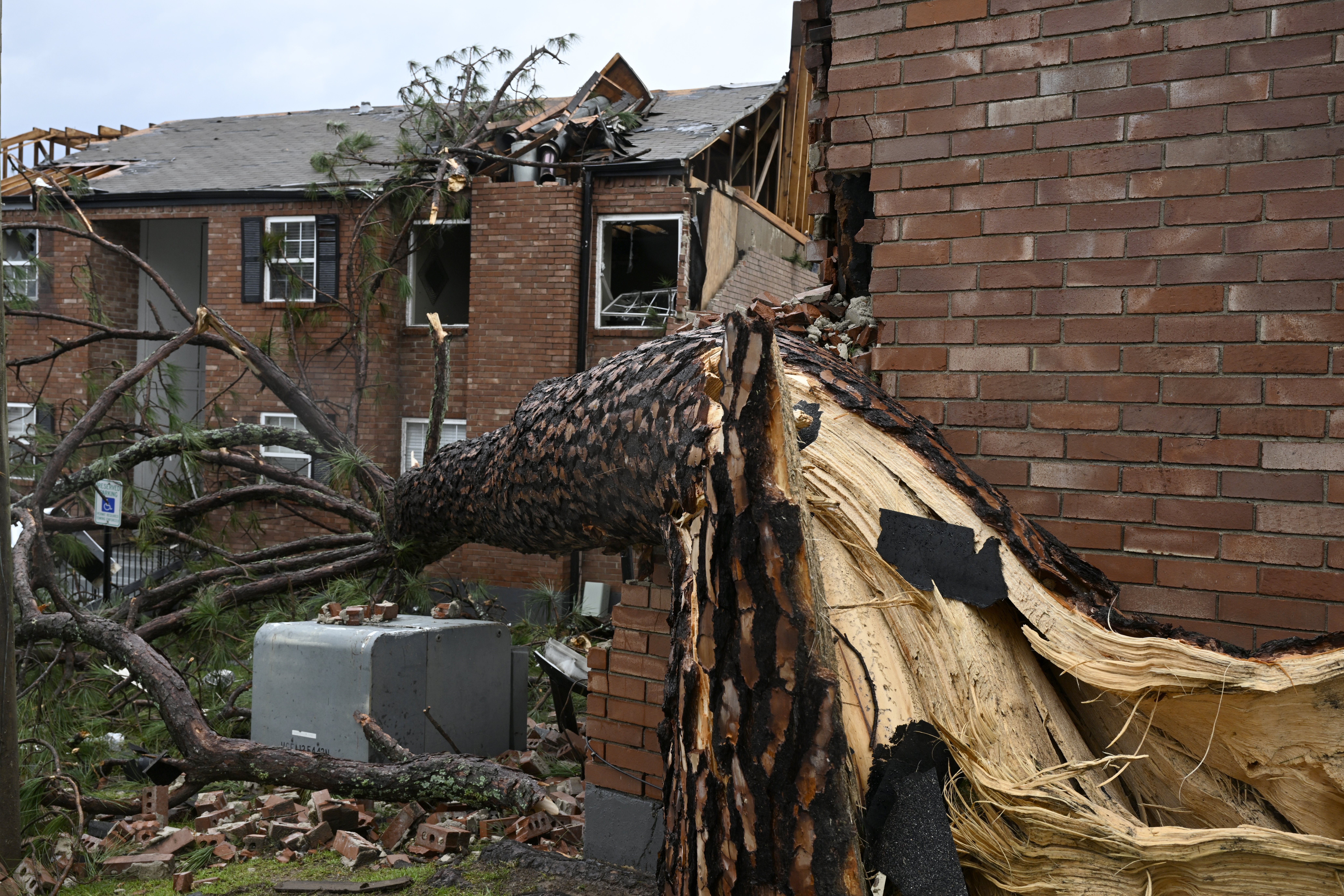 <p>Торнадо премина през столицата на американския щат Арканзас - град Литъл Рок - и околностите му, като разруши къщи, преобърна автомобили и изкорени дървета. Има пострадали.</p>