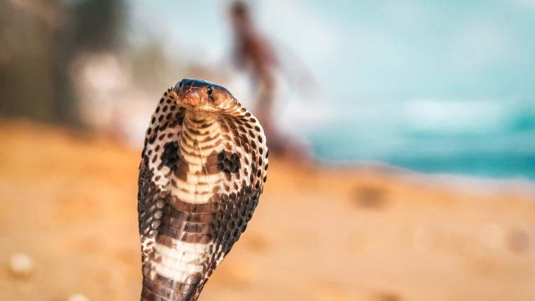  Отговори на ТЕСТ: 7 въпроса, с които всеки образован човек би трябвало да се оправи 