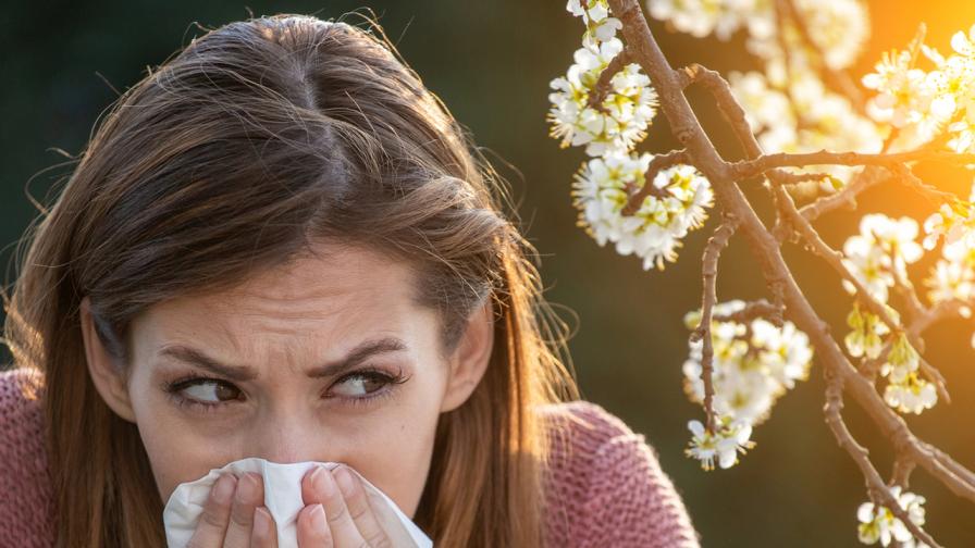 В сезона на алергиите: Специалисти съветват как да ги избегнем