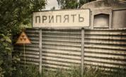 Сини кучета се появиха в Чернобил - мистериозно явление в забранената зона
