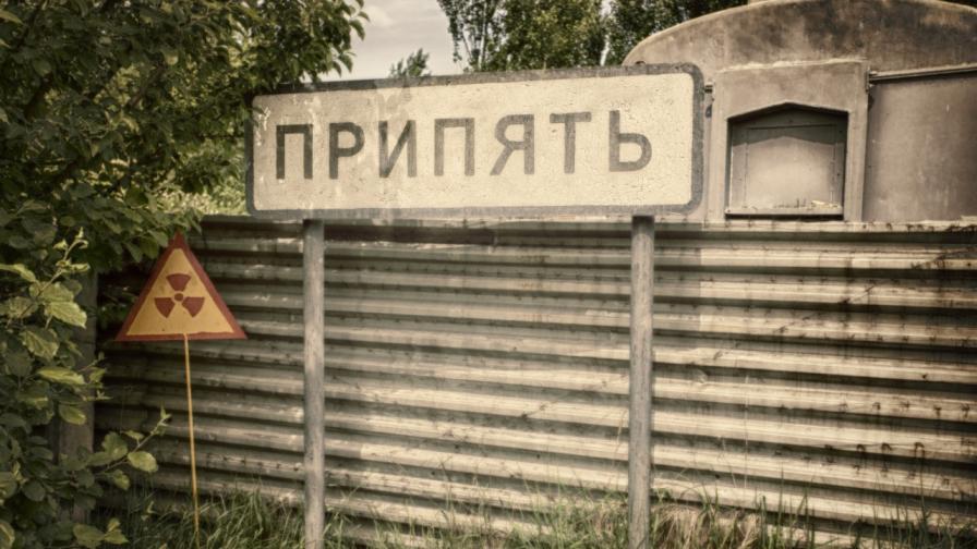 Сини кучета се появиха в Чернобил - мистериозно явление в забранената зона