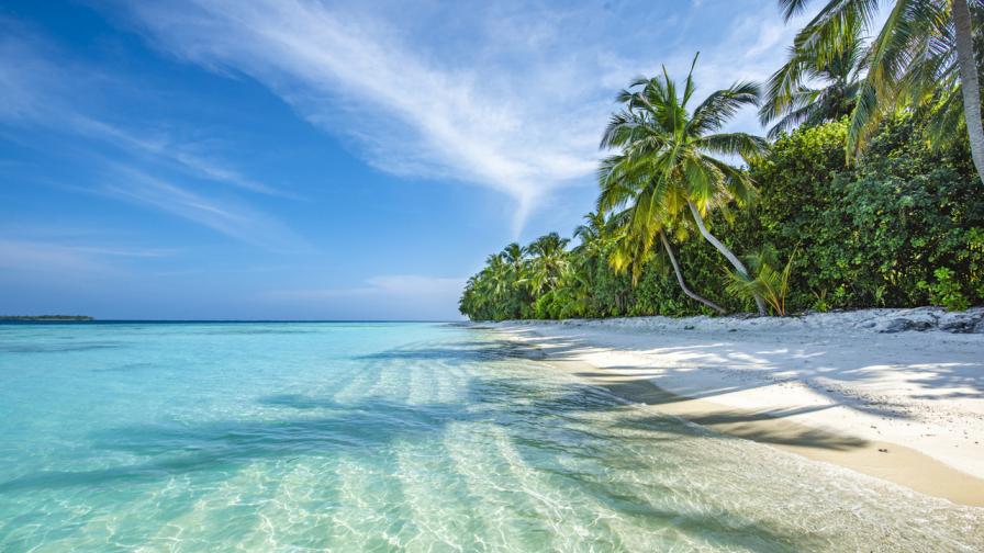 "Това е Раят на земята": Интересни факти за Малдивите