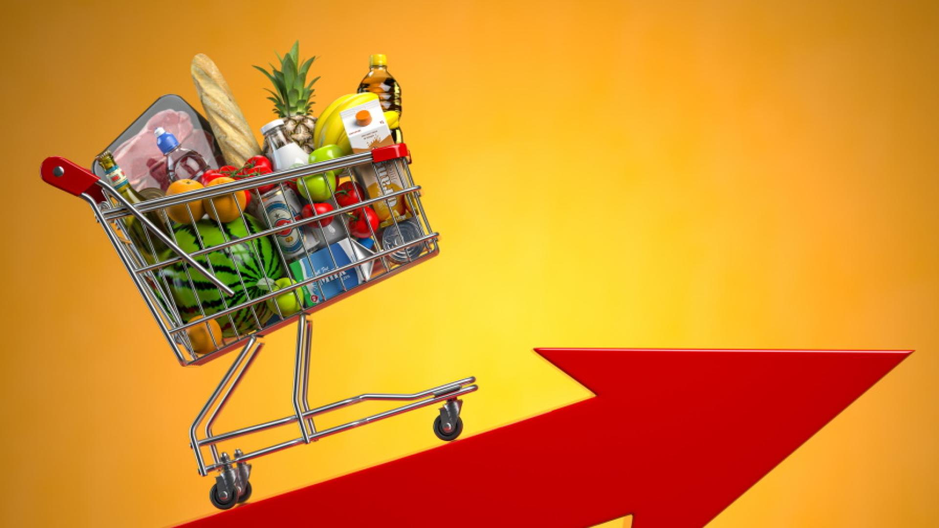 Месечната инфлация за август спада до 0 1 на сто а