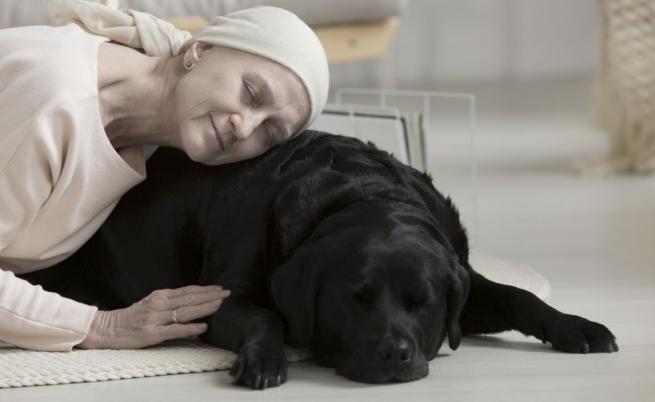 Биолози намериха прилика между кучешката деменция и болестта на Алцхаймер при хората