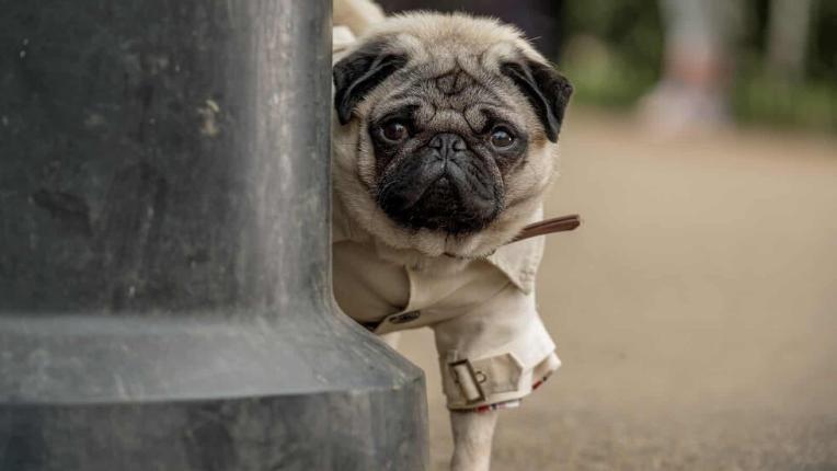  4 сантиментални кино лентата, които да гледаш този уикенд 