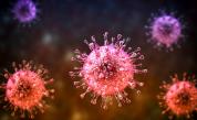 „Повечето от нас са носители на този вирус, но малцина са чували за него“: CMV инфекцията