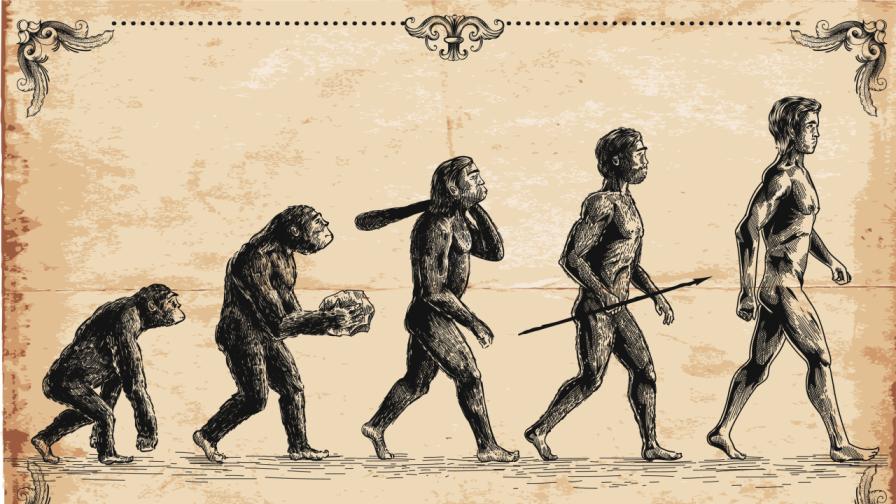 Еволюцията не е спряла: Ето как ще изглежда човек в бъдеще