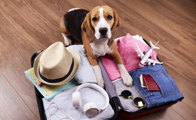 Пътешествия с ограничен бюджет: Как да планирате и изпълните евтини пътувания