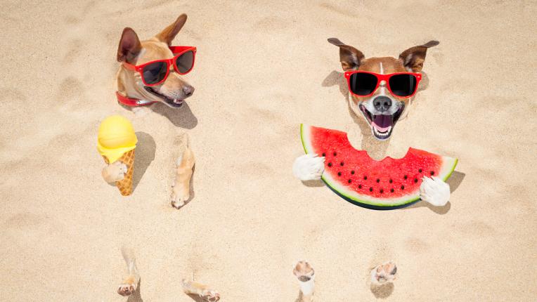  Дневен хороскоп за четвъртък, 6 юли 