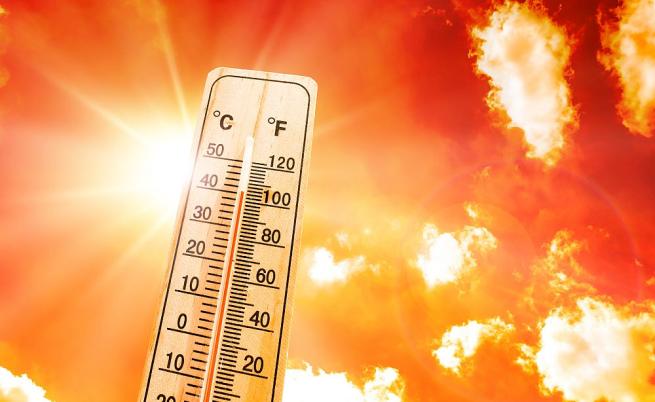 Стряскаща статистика: До 2050 г. жегите ще убият почти 5 пъти повече хора