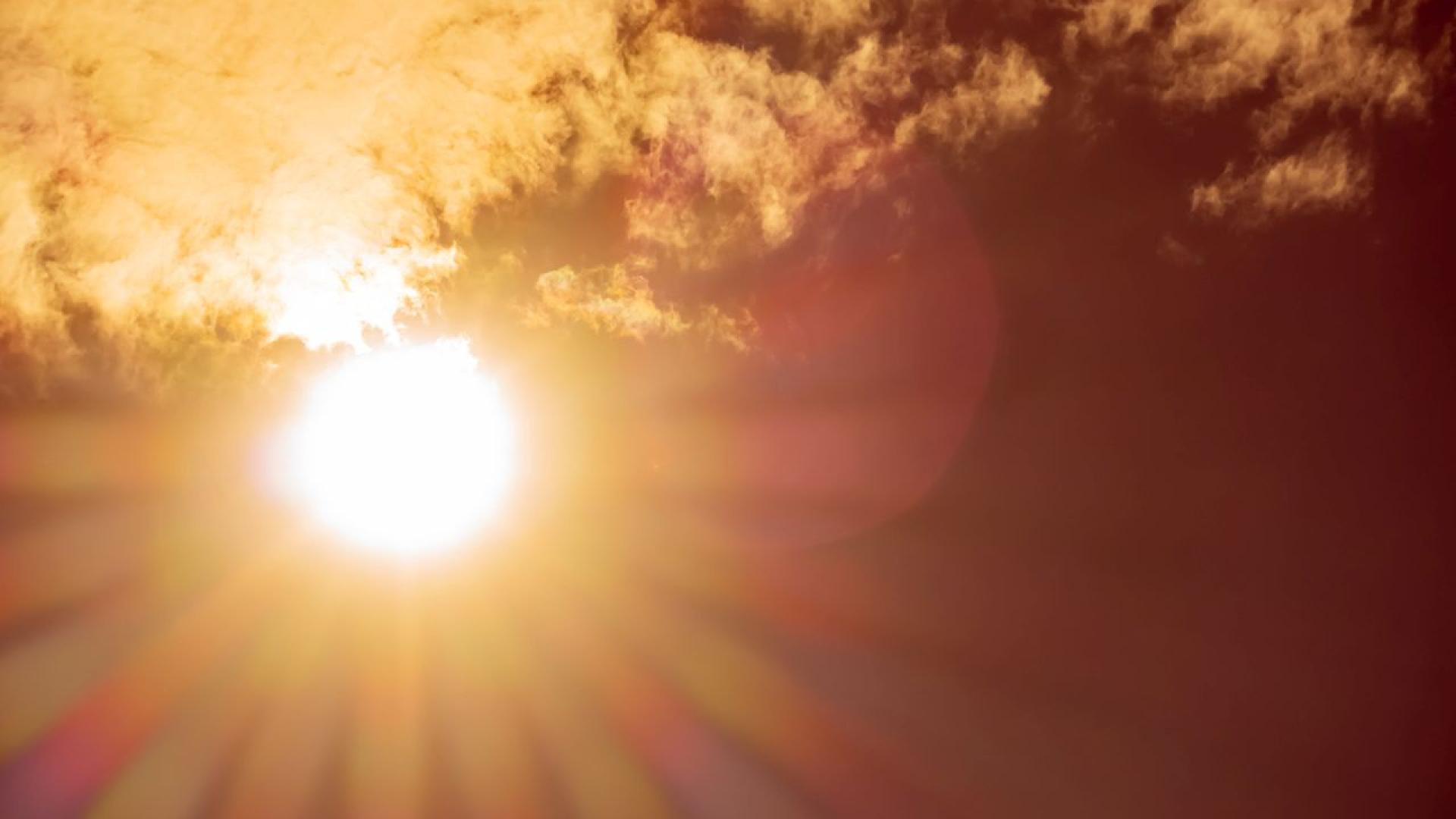 Изследователи са установили че близо 600 души в Англия и