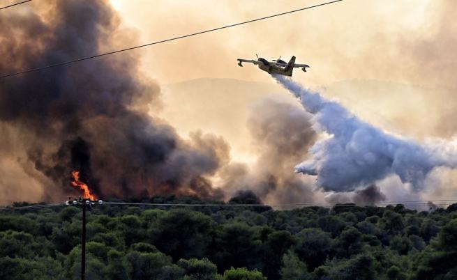 Горски пожари бушуваха край Атина, опожарени са домове