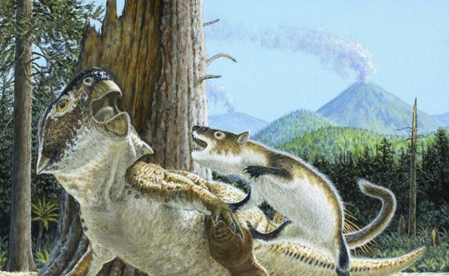 Схватка продължила 125 млн. години: Бозайник на лов за динозаври