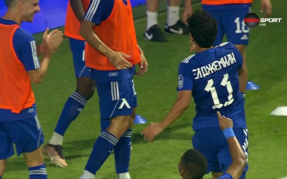 Четвърт час преди края на мача между Ботев Пловдив и