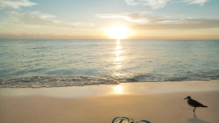  Дневен хороскоп за понеделник, 29 юли 