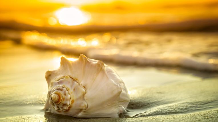  Дневен хороскоп за понеделник, 29 юли 