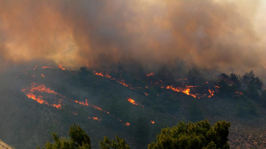 <p>Последна информация за пожарите в Гърция</p>