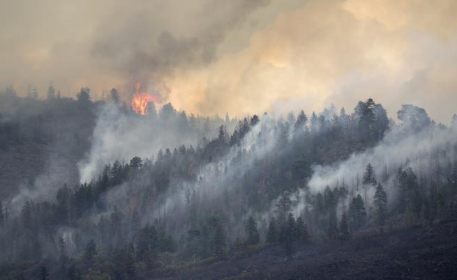 Потушен е големият пожар в Рила планина