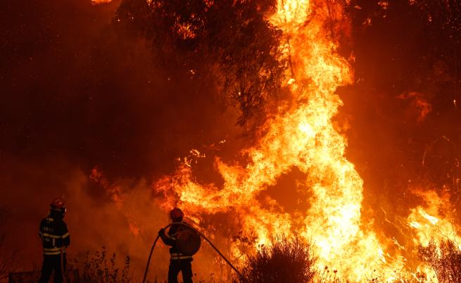 Огнена стихия: Пожари на Тенерифе и в Канада обхвана огромна площ