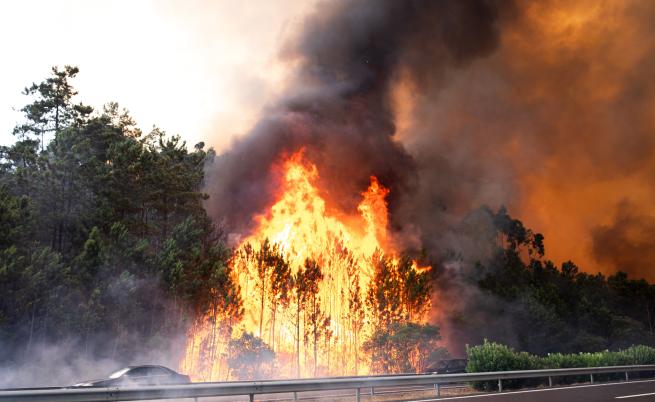 Пожарът край гръцкия град Александруполис: Обявихa бедствено положение