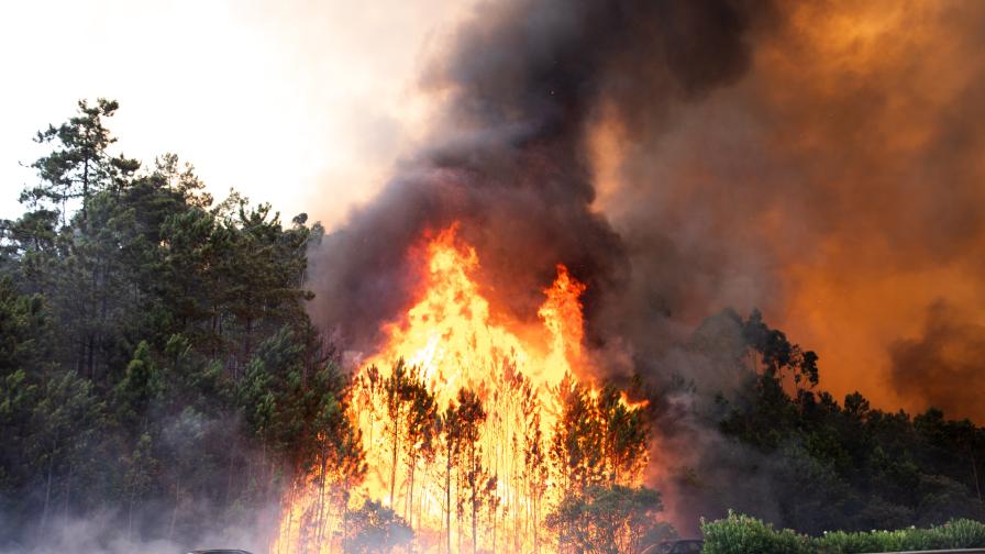 Пожарът край гръцкия град Александруполис: Обявихa бедствено положение