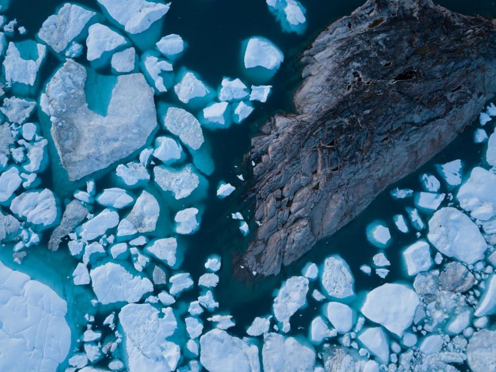 Le Groenland devient « de plus en plus vert », quelles seront les conséquences pour le monde – le monde