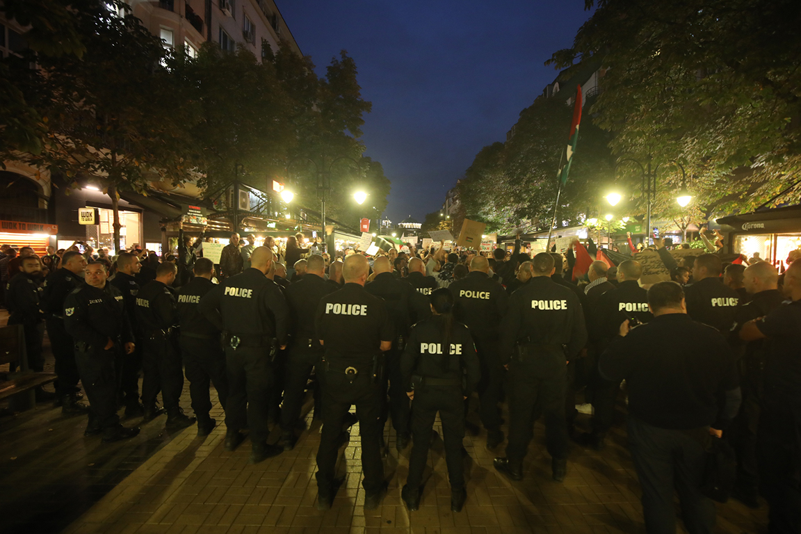 <p>Стотици се събраха на протест в защита на палестинския народ в центъра на София тази вечер</p>