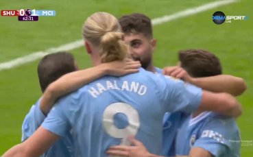 Попаденията на Ерлинг Халанд с глава