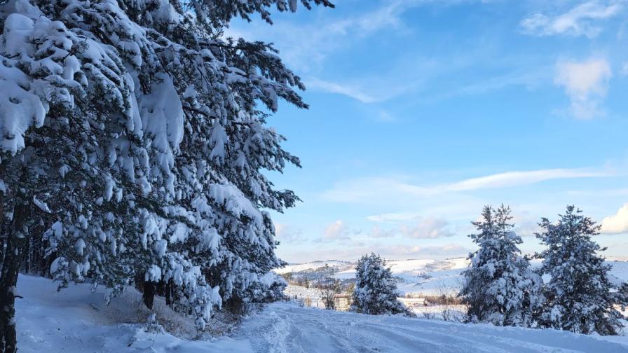 Бяла приказка: Снежна пелена покри България
