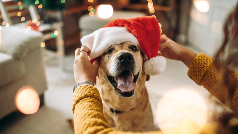  Дневен хороскоп за четвъртък, 28 декември 