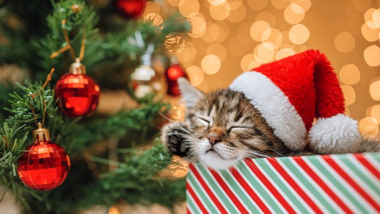  Дневен хороскоп за четвъртък, 21 декември 