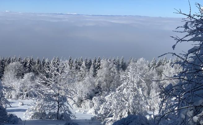 Турист е починал на Витоша, друг е пострадал