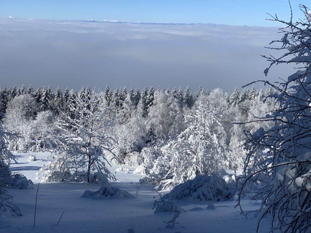 Турист е починал на Витоша, друг е пострадал