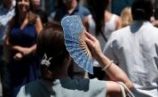 СЗО: Над 1300 са жертвите на горещата вълна в Европа