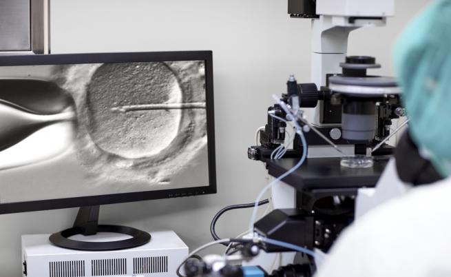 След объркване на ембриони: Двойка бе принудена да върне децата си