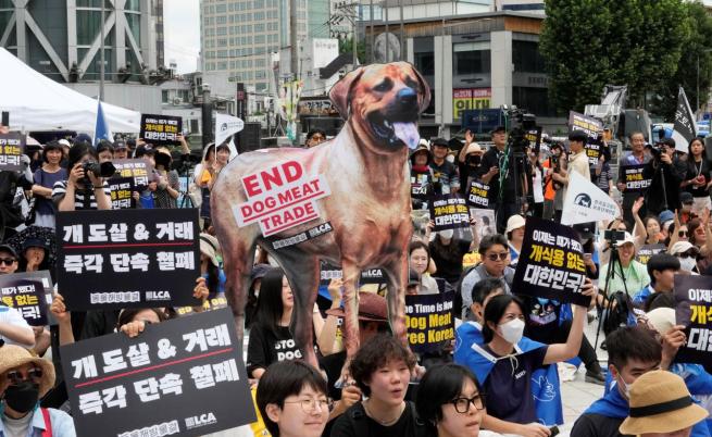 Забраниха консумацията на кучешко месо в Южна Корея (СНИМКИ)