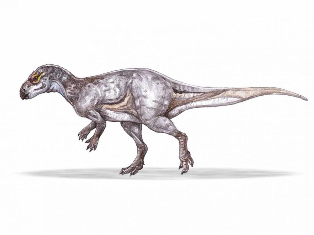 Уникални фосили на вид растителноядни динозаври от семейство Rhabdodontidae на възраст около
