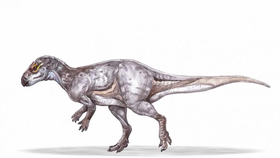 Открити са единствени по рода си фосили на растителноядни динозаври в Румъния