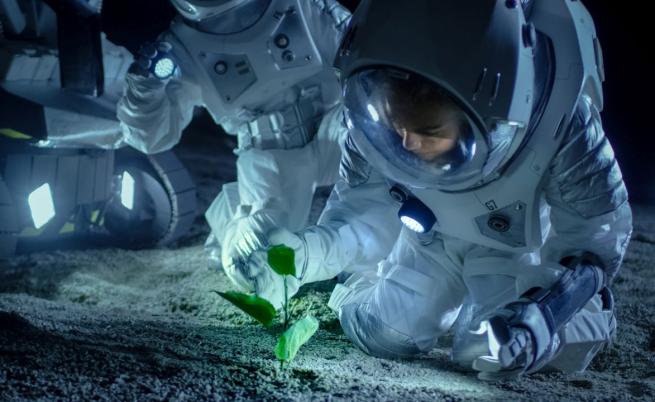 Космически картофи: В Китай правят експерименти със семена, изложени на космическа радиация
