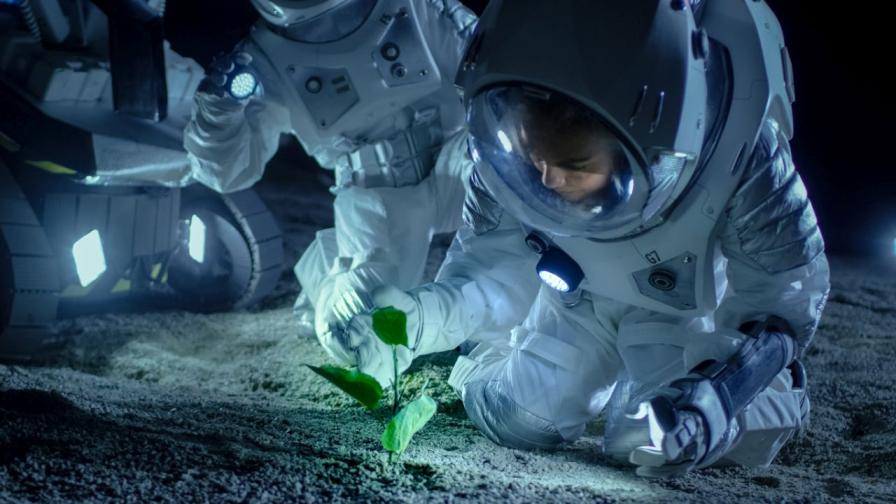 Космически картофи: В Китай правят експерименти със семена, изложени на космическа радиация