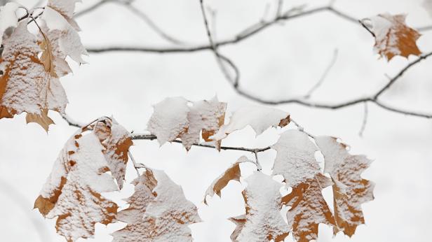 Предстои ледена новогодишна нощ