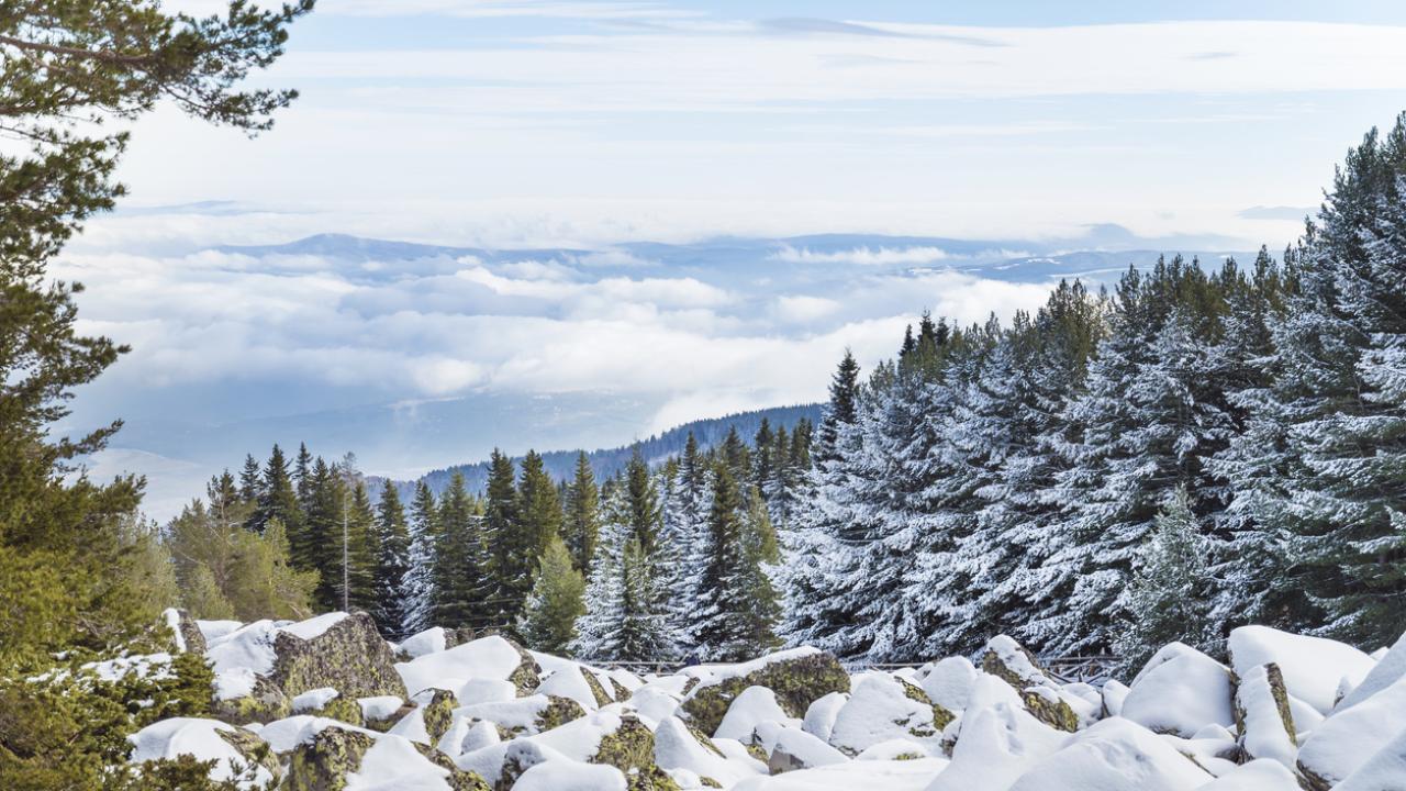 Илюстративна снимка